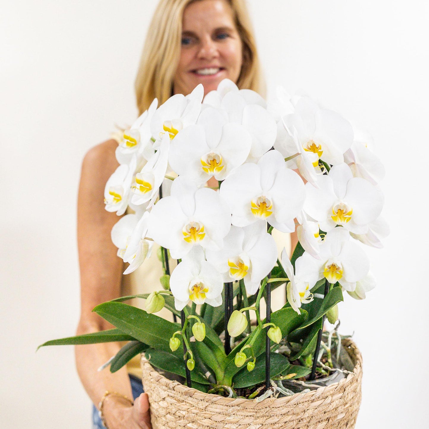 Witte orchideeënset in Reed Basket incl. waterreservoir