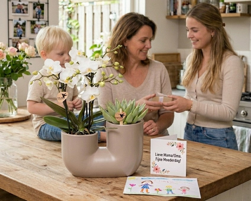 De populairste Moederdag cadeaus van dit moment 🌸 Trends die écht scoren in 2026!