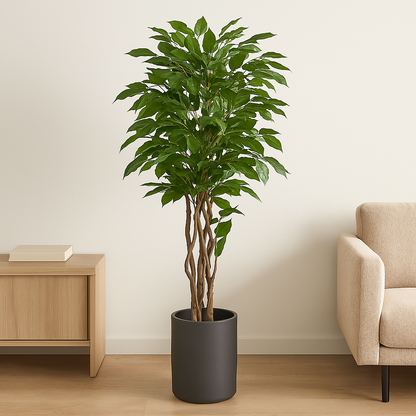 kunstplant - Ficus liana  - Vioolbladplant - 170cm