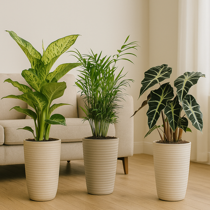 Binnenplanten Mix - 3 stuks - Ø17cm - ↕45-55cm