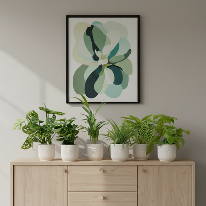 Verrassingsbox - 6 planten incl. elho potjes wit