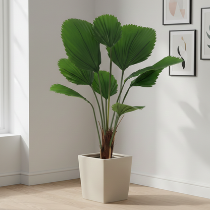 Kunstplant Licuala Grandis - 104cm