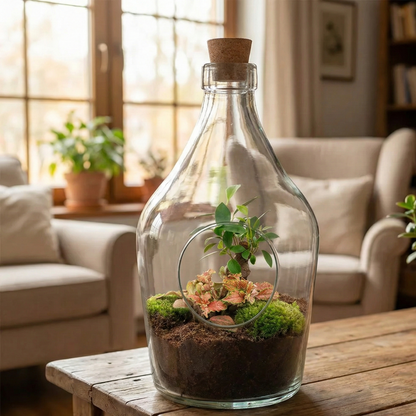 Open terrarium John - ↑ 30 cm