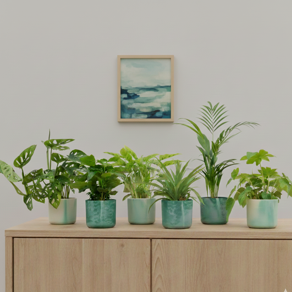 Verrassingsbox - 6 planten incl. elho potjes groen