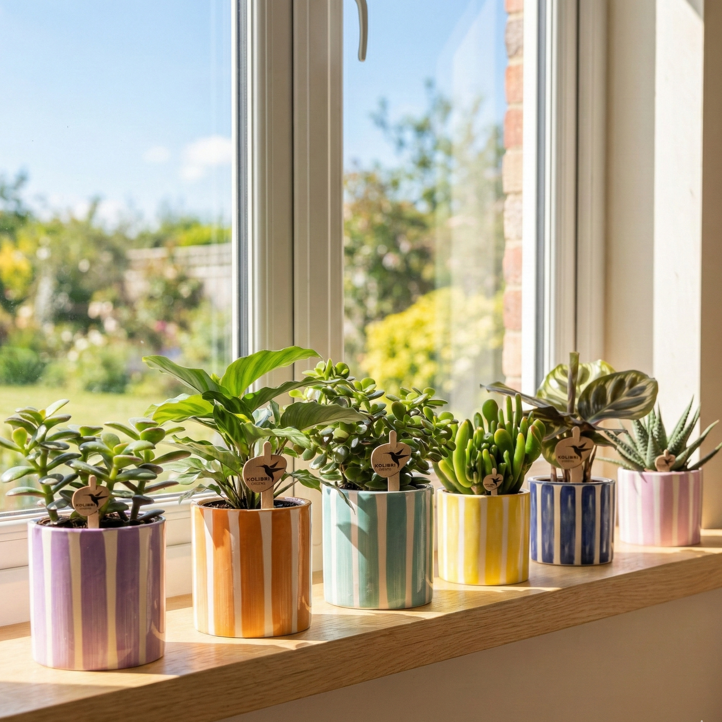 Groene plantjes mix + Stripe sierpotten