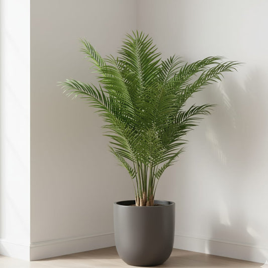 Kunstplant - Areca Lutescens - Goudpalm - 180 cm