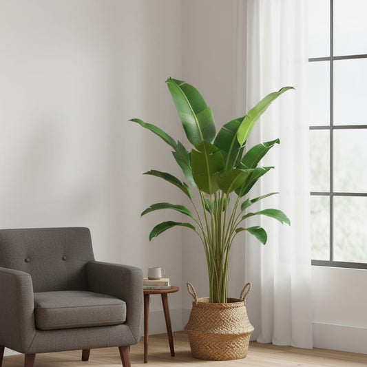 Strelitzia nicolai - 180 cm - In zwarte pot - Kunstplant