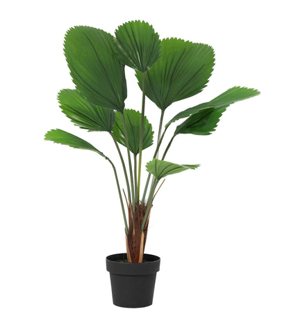 Kunstplant Licuala Grandis - 104cm
