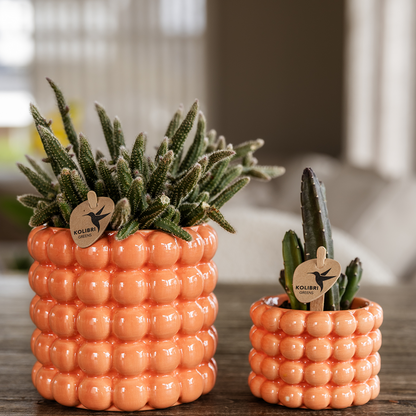 Poppy sierpot - Orange - Ø9cm