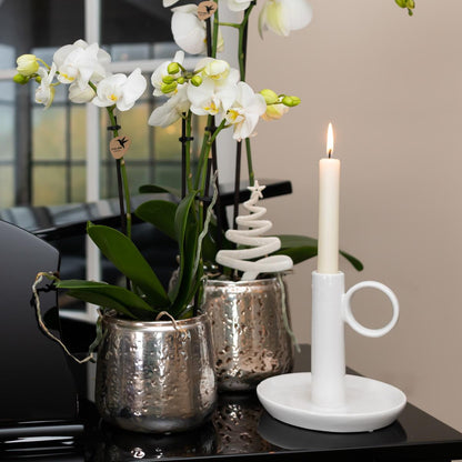 Witte orchidee – Amabilis + Luxury sierpot zilver