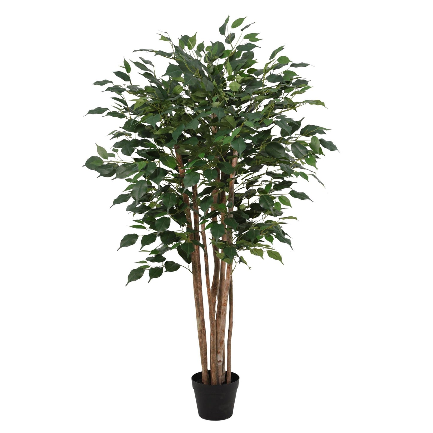 Kunstplant Ficus Benjamina - 150cm