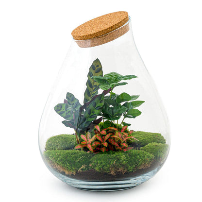 DIY terrarium - Drop XL Rood - ↕ 37 cm - Normal