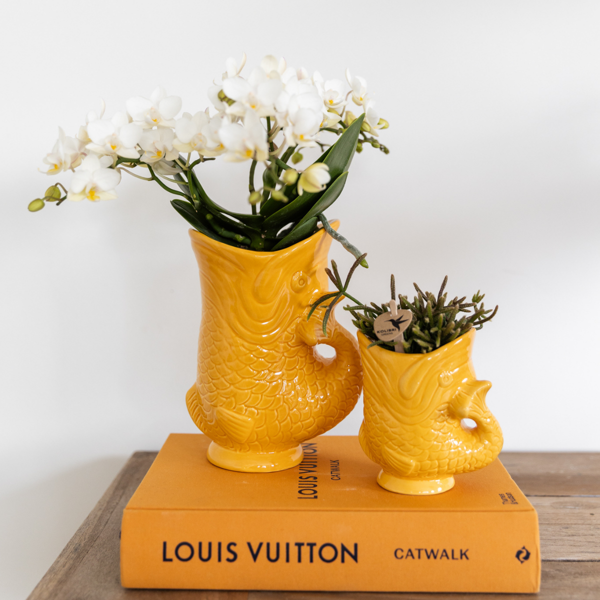 Witte orchidee - Nazaré