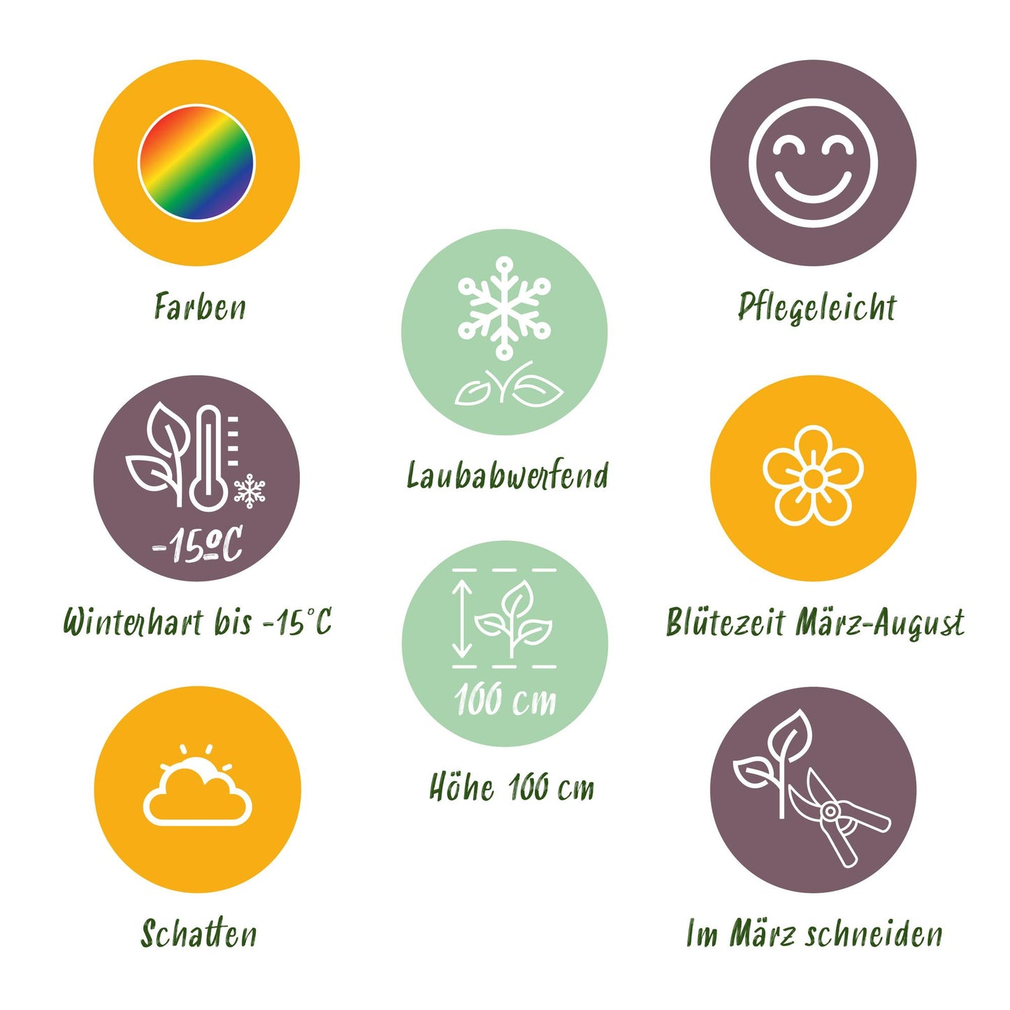 Borderpakket - Schaduw - 8 Vaste planten