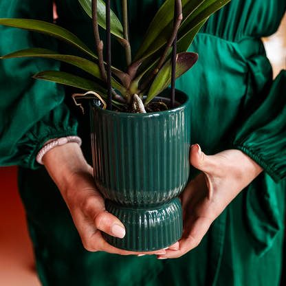 Diabolo sierpot | Ø9cm - Green