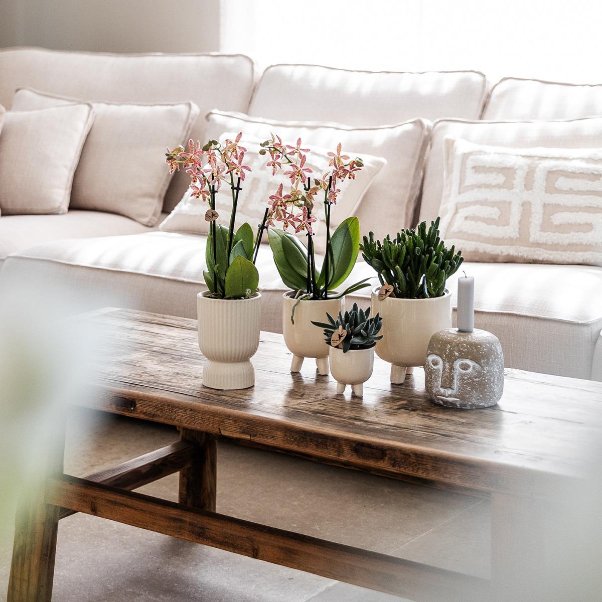 Diabolo pot travertine - Ø9cm