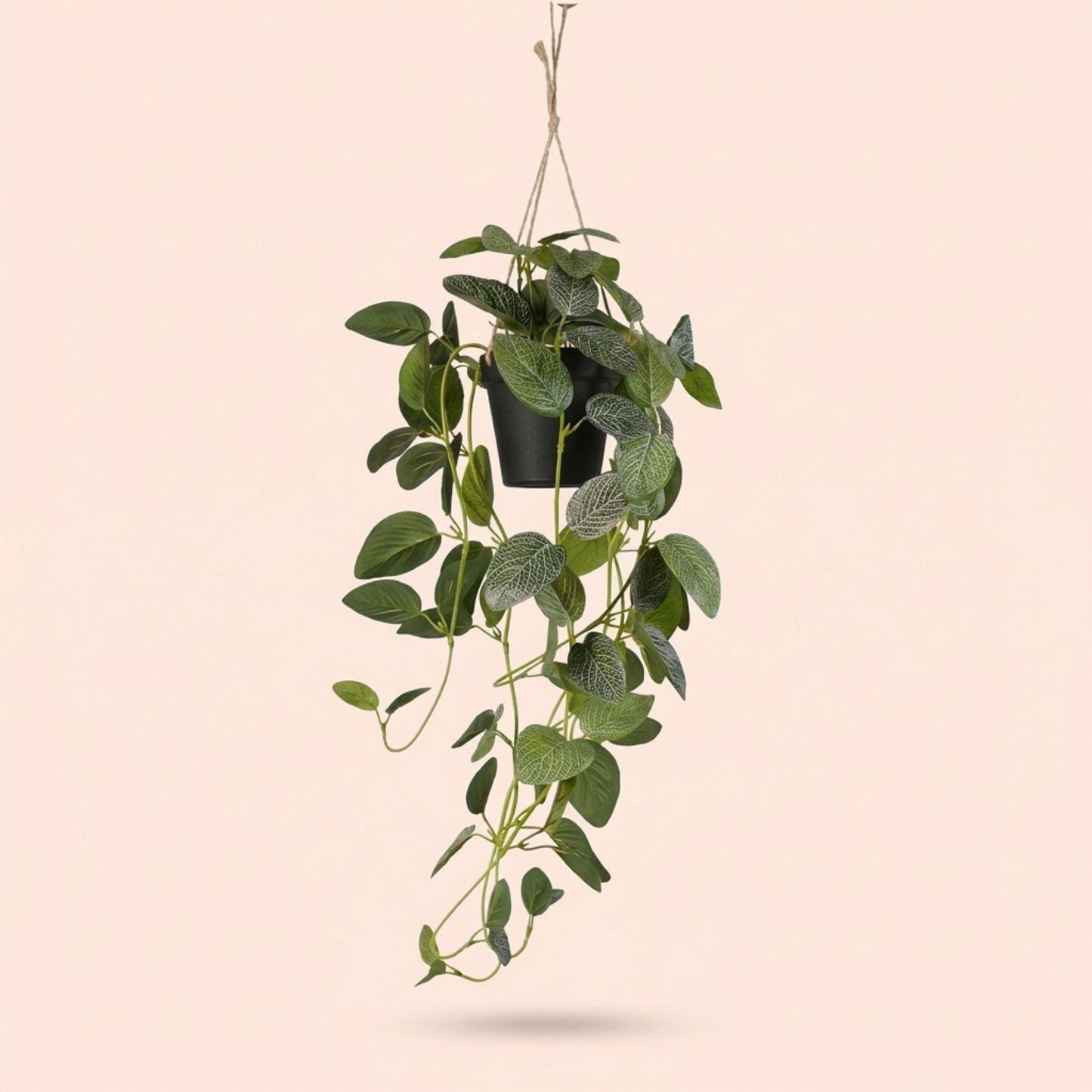 Kunstplant - Hangplant Fittonia - 70 cm