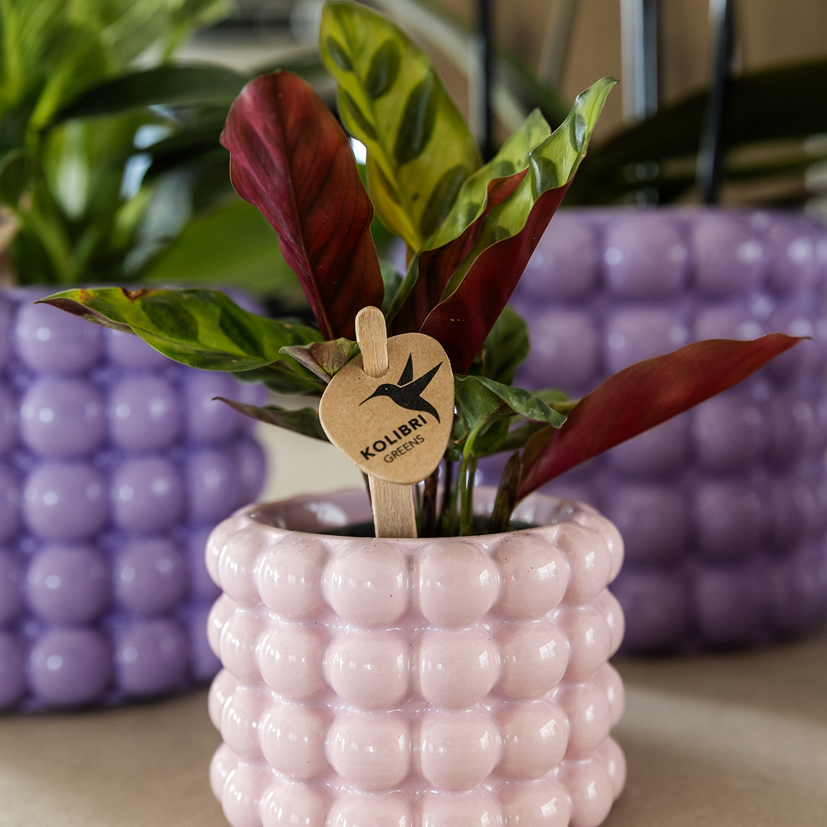 Poppy sierpot - Pink - Ø6cm