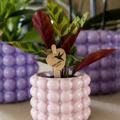 Poppy sierpot - Pink - Ø6cm