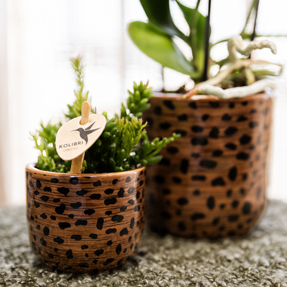 Leopard sierpot - Ø6cm