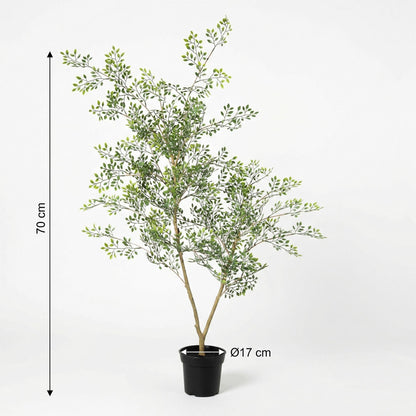 Kunstplant Bucida - 71cm