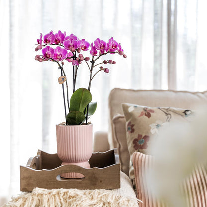 Diabolo pot pink - Ø12cm