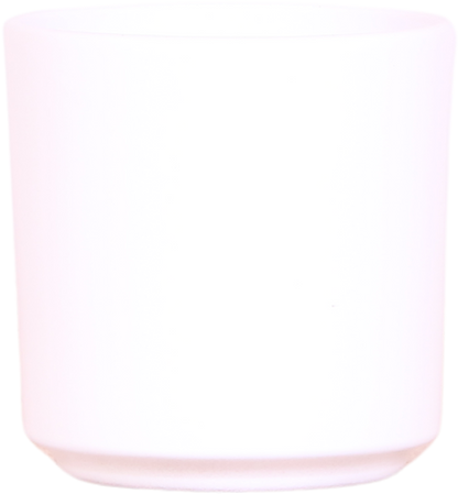 Veel succes |  Lausanne orchidee met pot, kaart & cadeautas