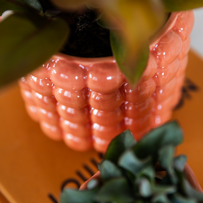 Poppy sierpot - Orange - Ø6cm