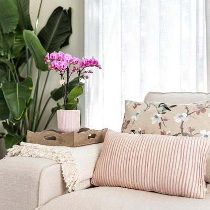 Diabolo pot pink - Ø12cm