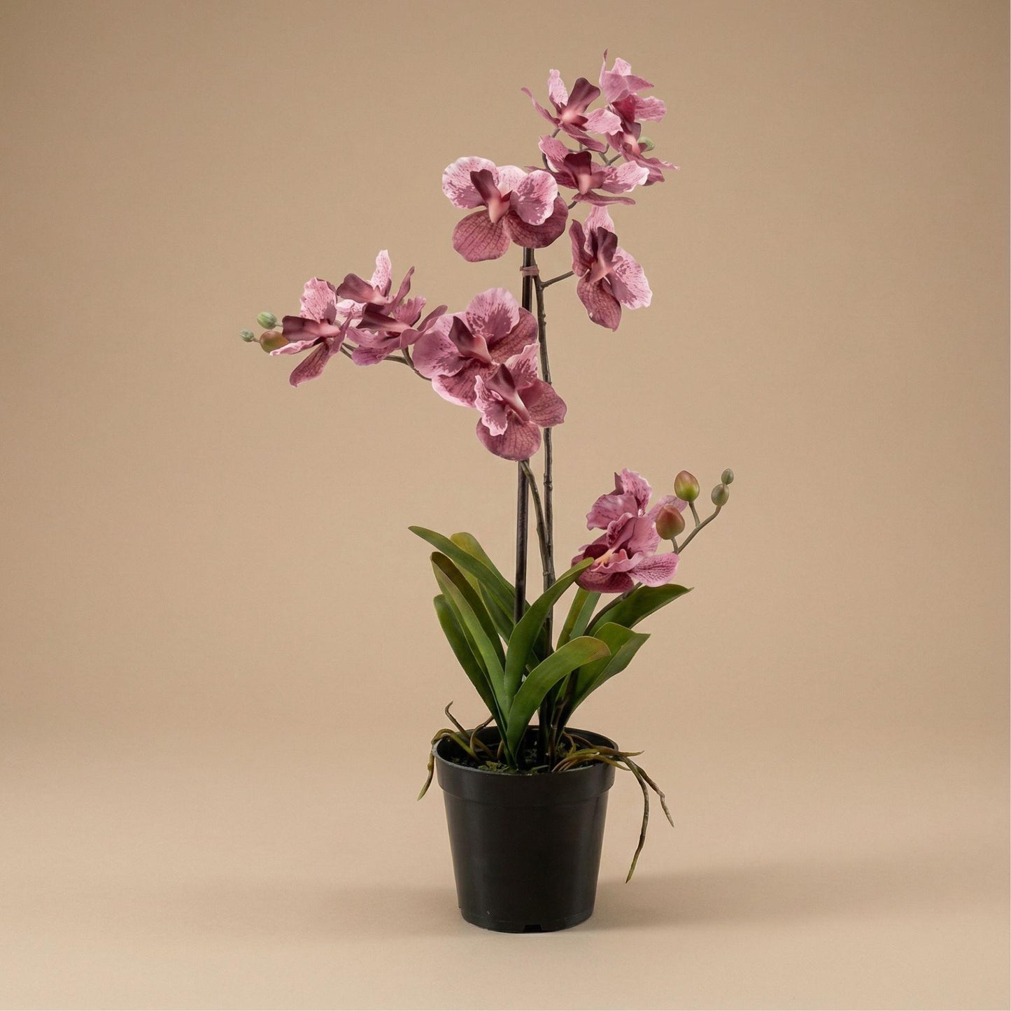 Kunstplant - orchidee Vanda - 60 cm