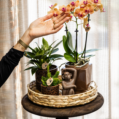 Leopard sierpot - Ø9cm