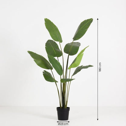 Kunstplant Strelitzia Nicolai - 180cm