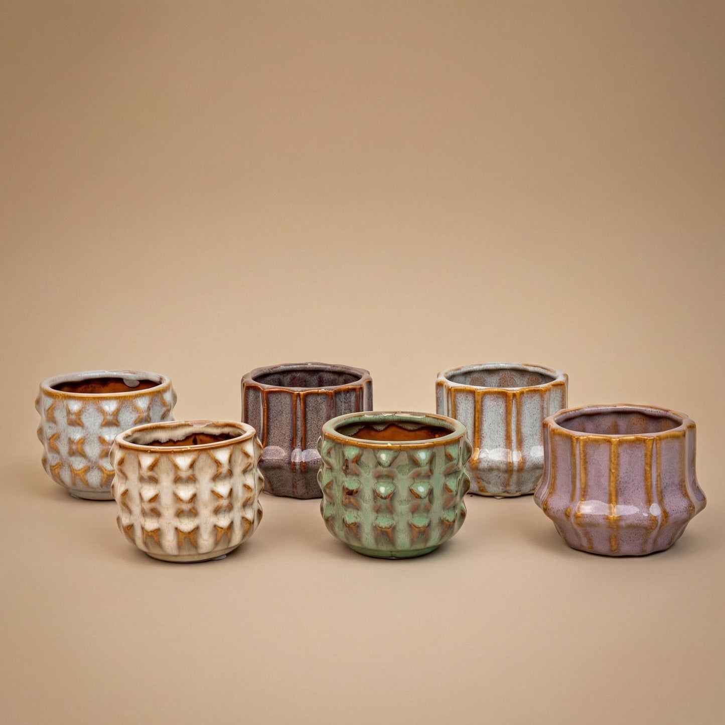 Plant set San Juan + pot - Cactus mix - Ø 6 cm