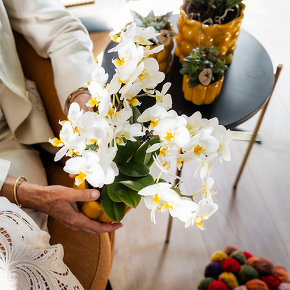 Beterschap | Lausanne orchidee met pot, kaart & cadeautas