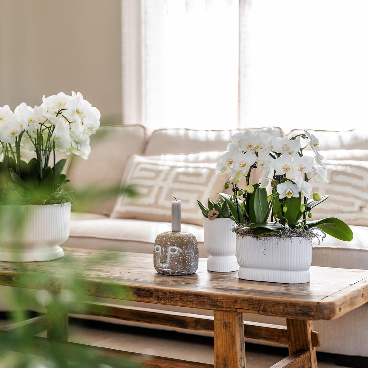 Diabolo pot white - Ø12cm