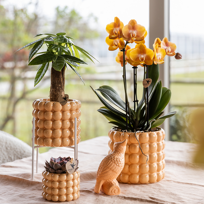 Poppy sierpot - Peach - Ø6cm