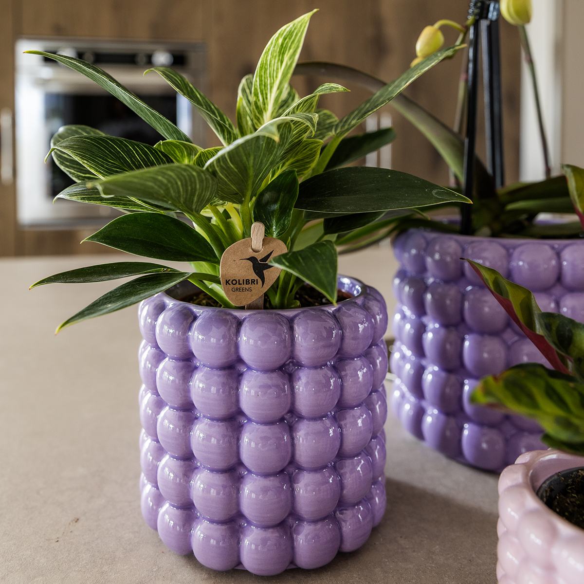 Poppy sierpot - Purple - Ø9cm