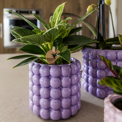 Poppy sierpot - Purple - Ø9cm