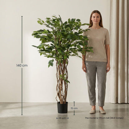 Kunstplant Ficus Liana - 140cm