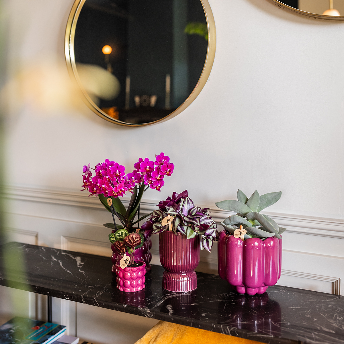 Diabolo sierpot | Ø9cm - Burgundy