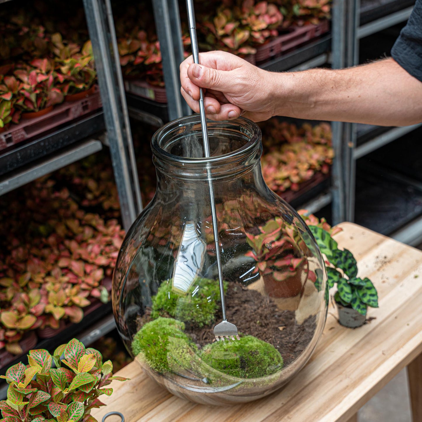 Terrarium Tool - Hark - 16-49 cm - Telescopisch - Roestvast staal (RVS)