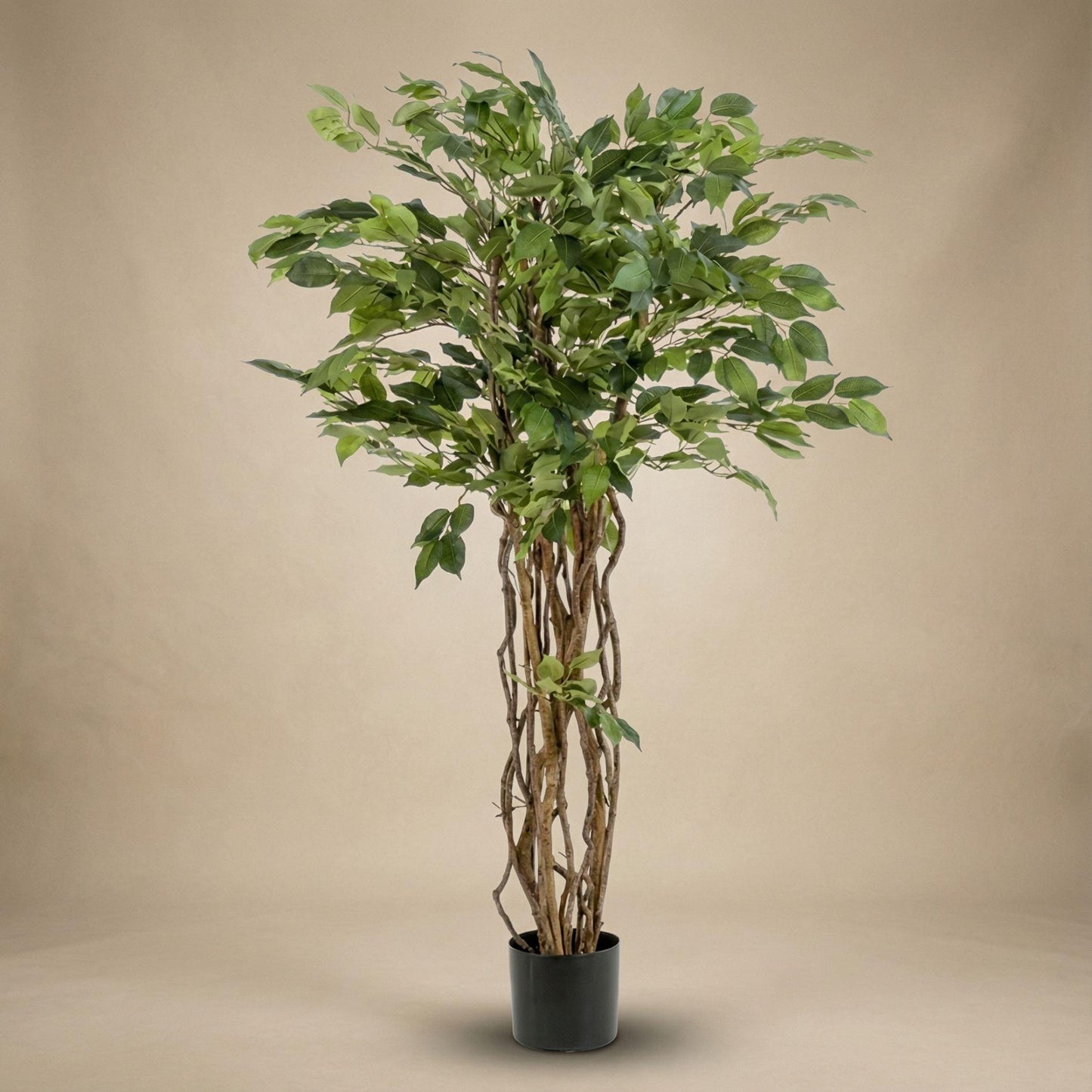 Kunstplant Ficus Liana - 140cm