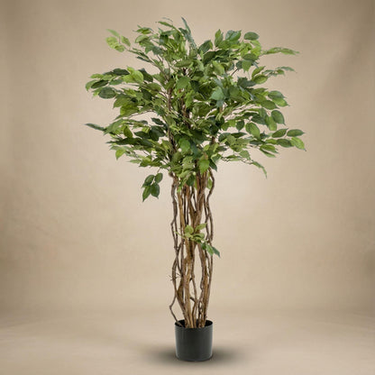 Kunstplant Ficus Liana - 140cm