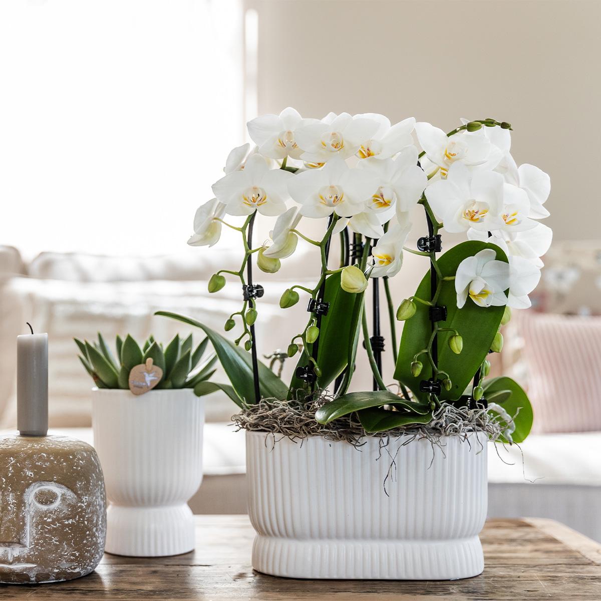 Diabolo pot white - Ø12cm