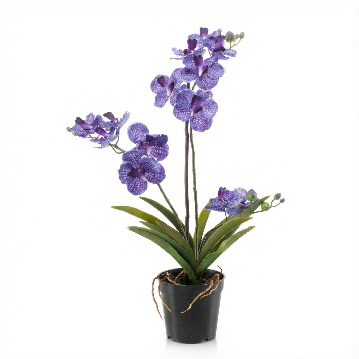 Kunstplant - Orchidee Vanda - 60 cm