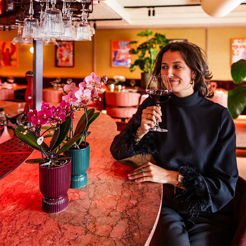 Paarse phalaenopsis orchidee | Chamonix