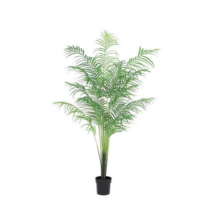 Kunstplant Kentia palm - 170cm