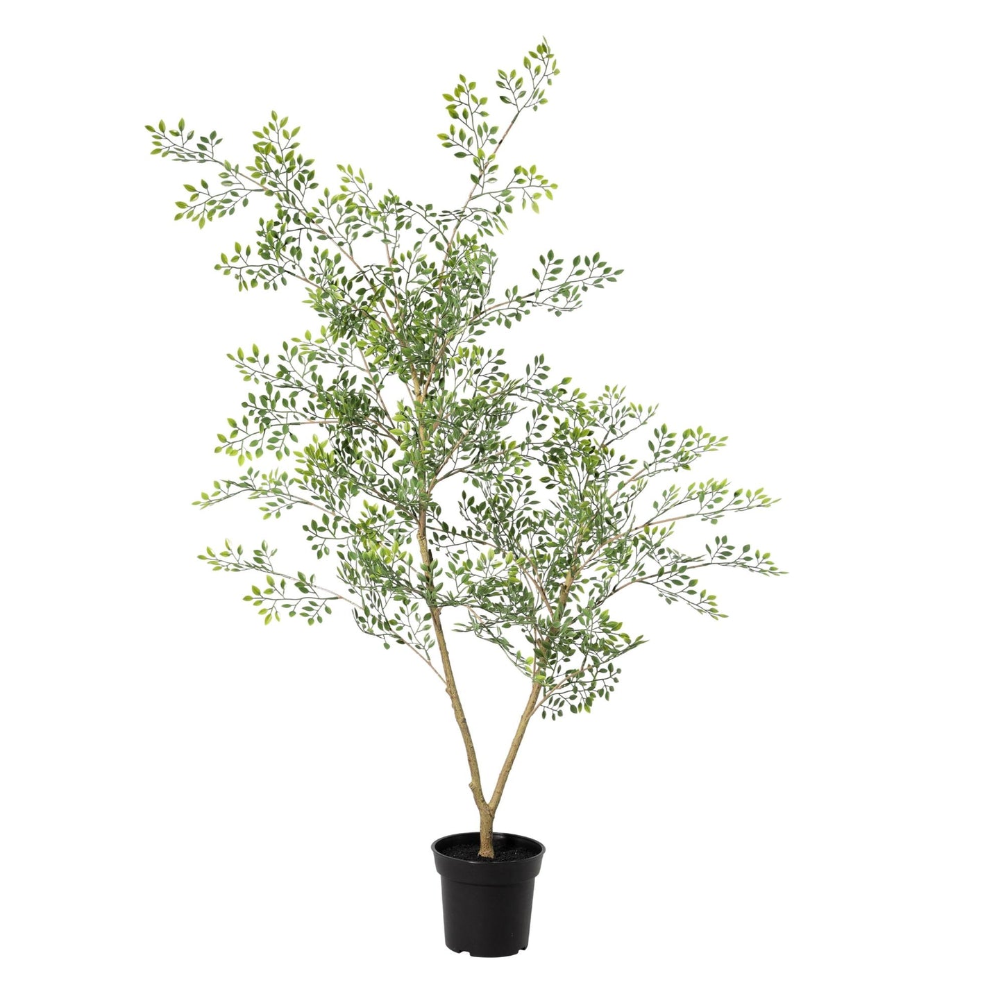 Kunstplant Bucida - 71cm