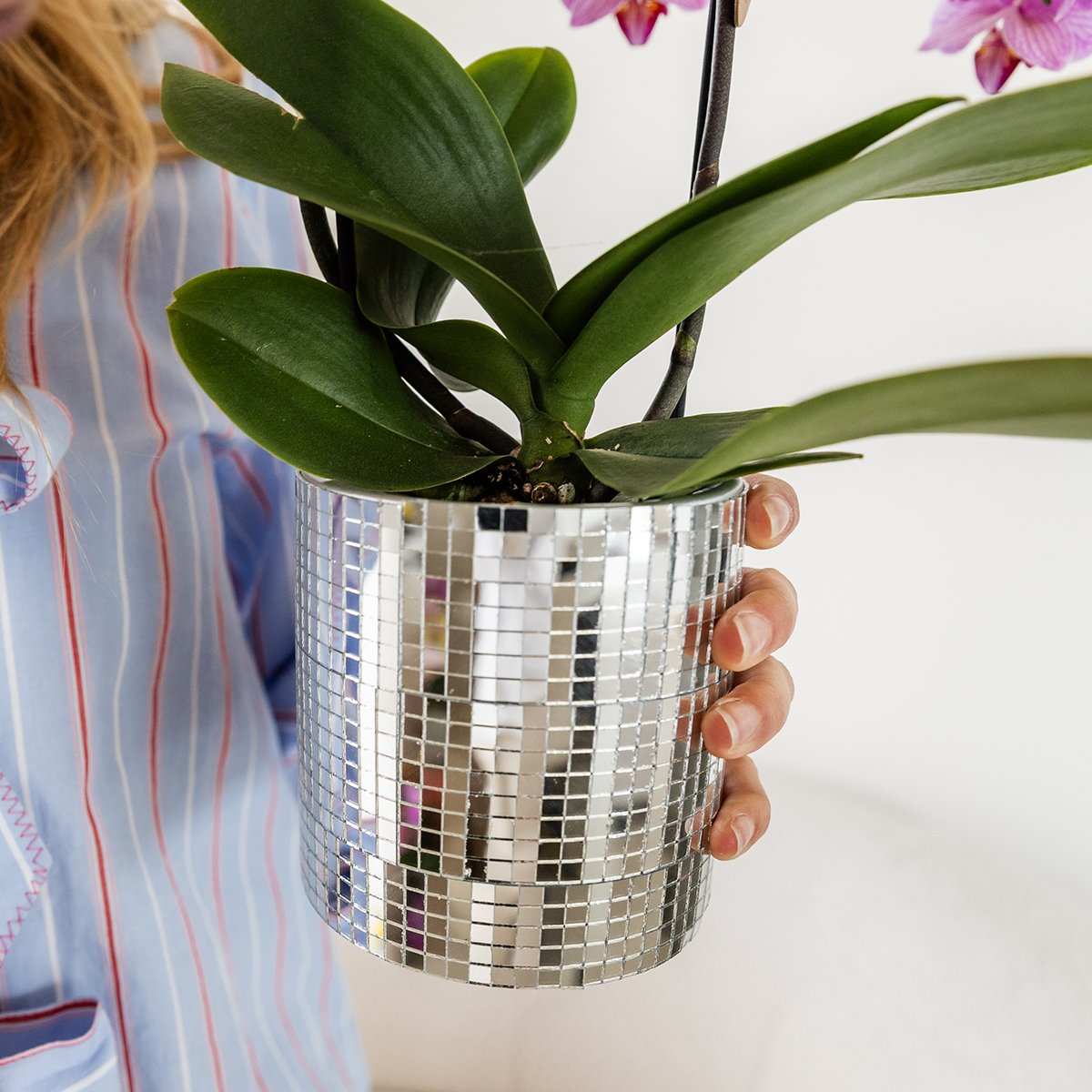 Disco sierpot - Ø9cm