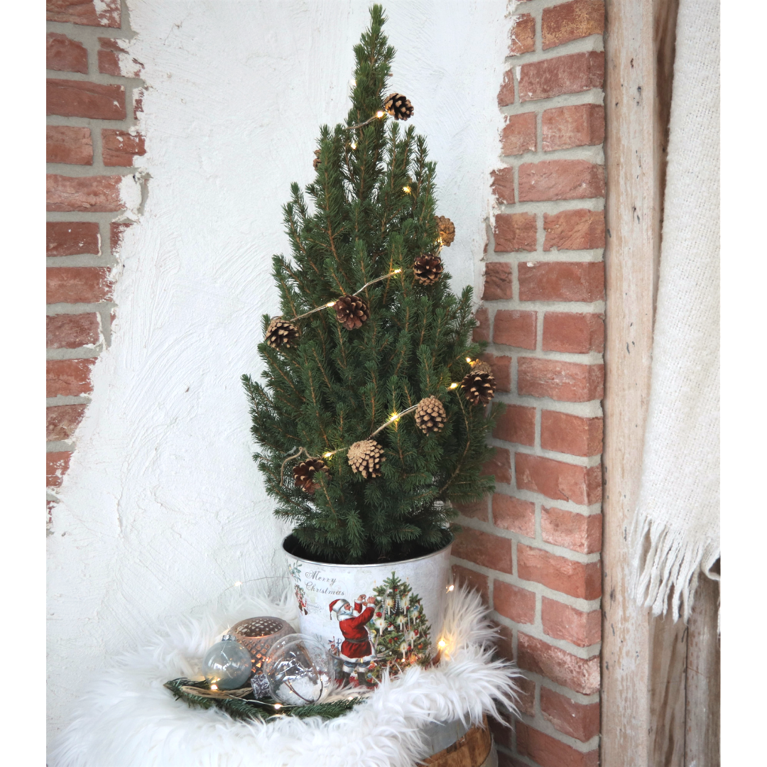 Kleine Kerstboom in sierpot - Standalone